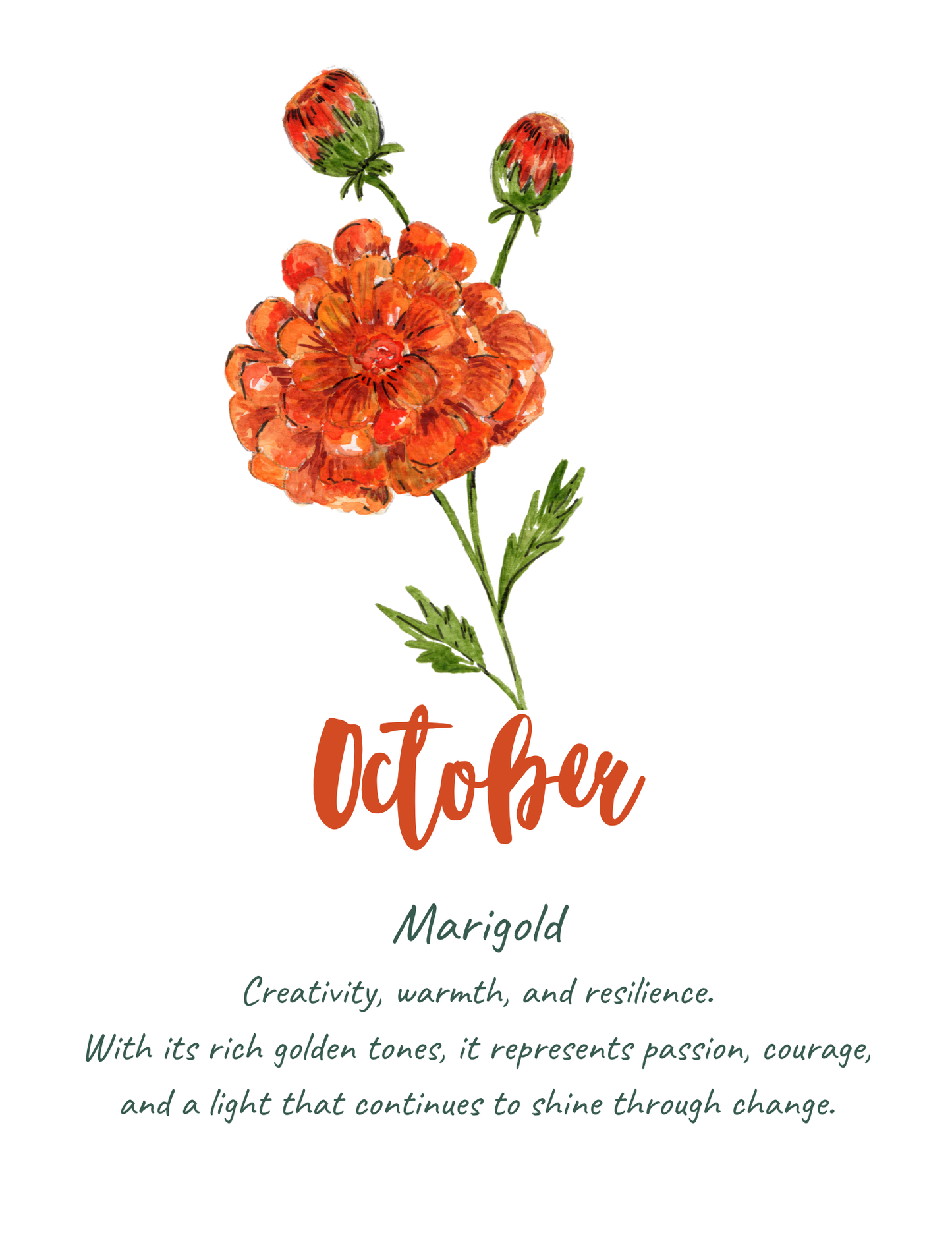 Birth flower meaning prints