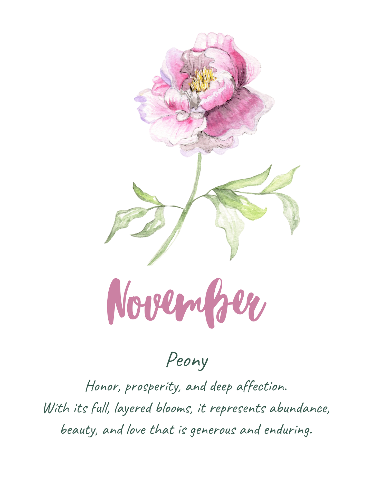Birth flower meaning prints