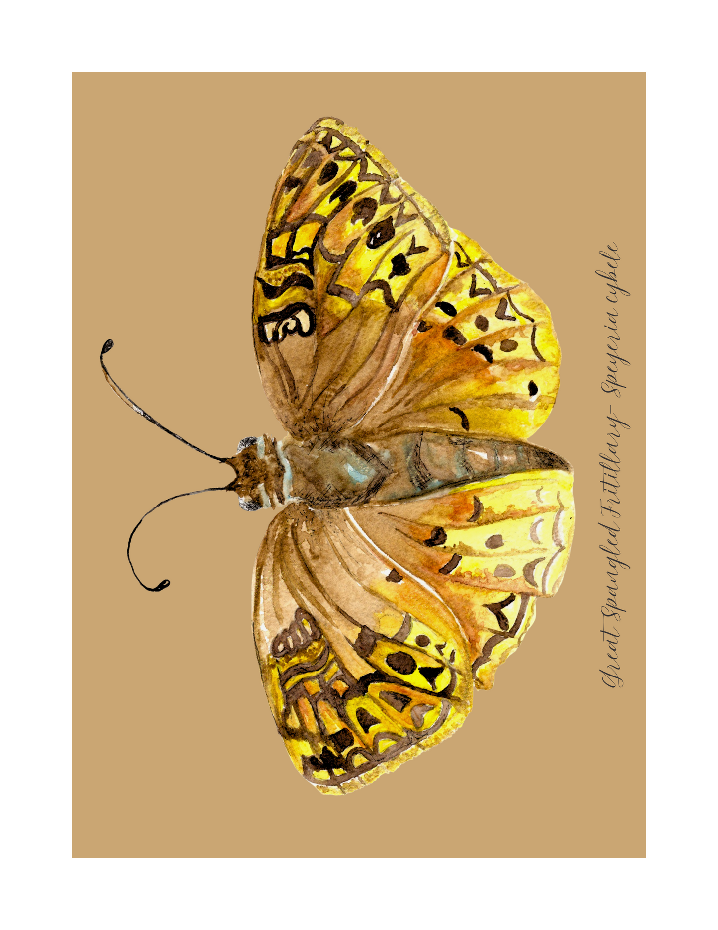 Great Spangled fritillary butterfly print