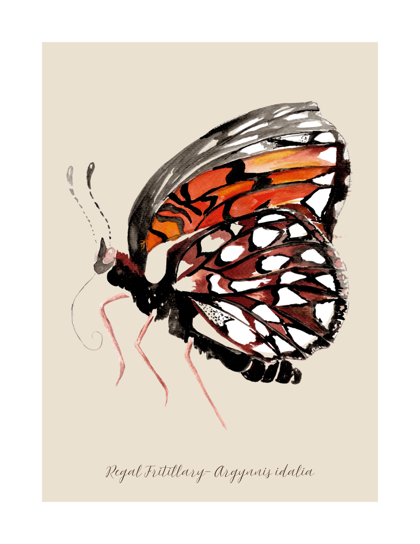 Regal Fritillary butterfly print