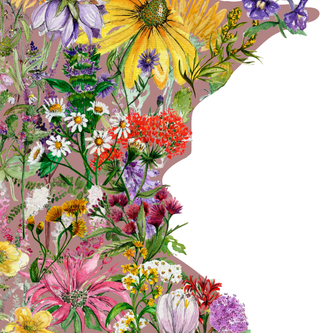 Minnesota in Bloom botanical print - Pink