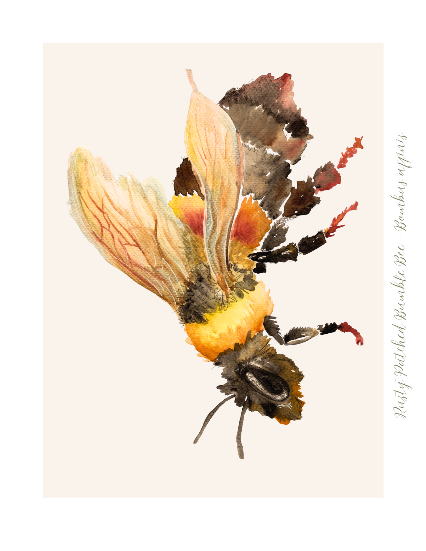 Bumblebee Watercolor Print