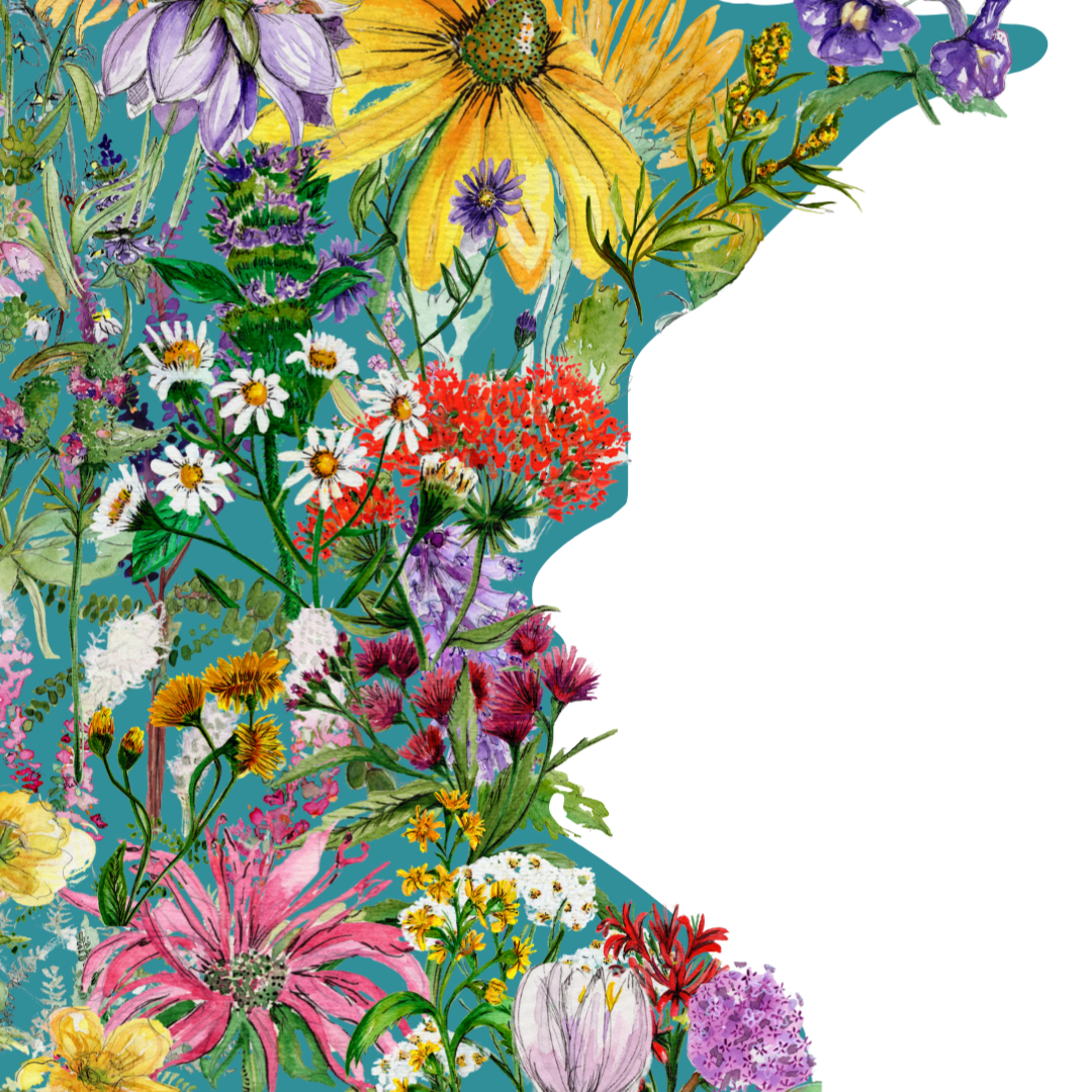 Minnesota in Bloom botanical print - Teal