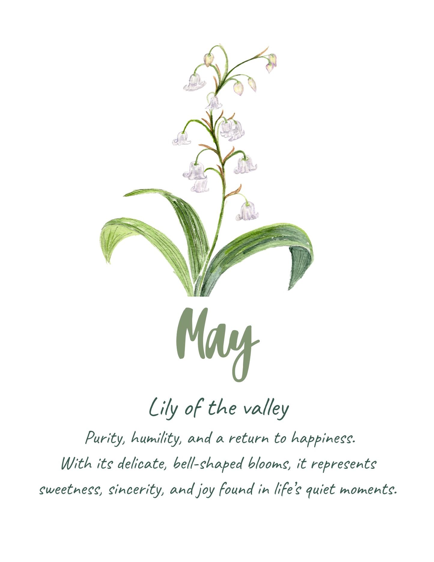 Birth flower meaning prints