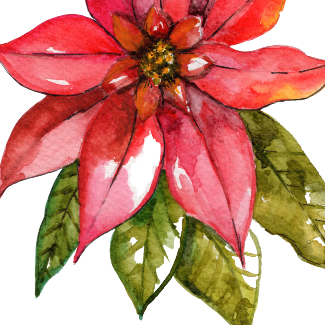 Poinsettia Christmas Print