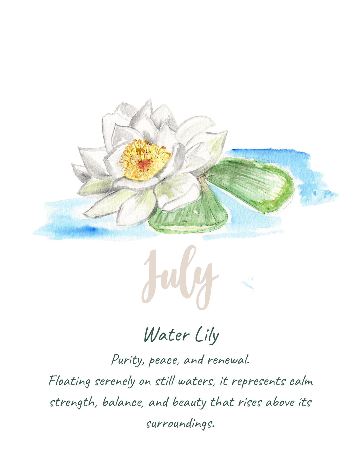 Birth flower meaning prints