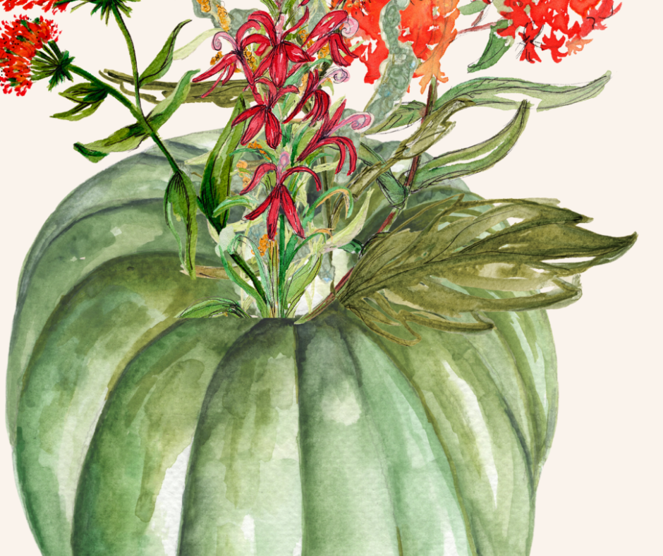 Jarrahdale Pumpkin Watercolor Print