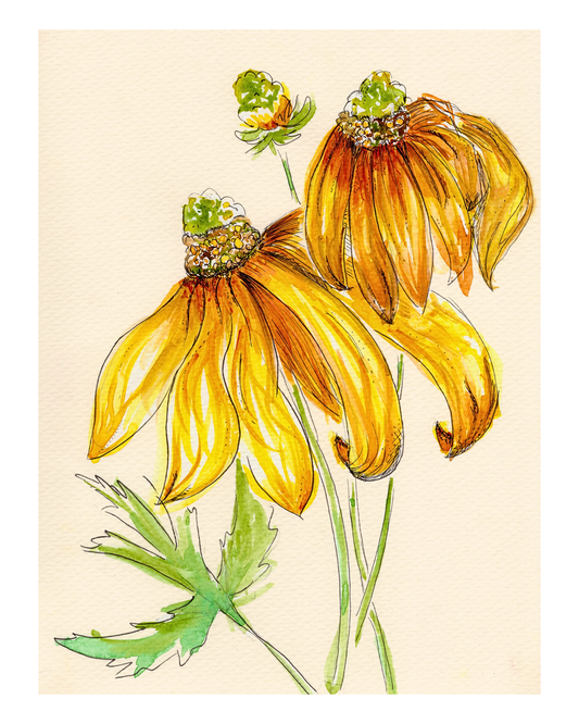 Watercolor Print Wildflower