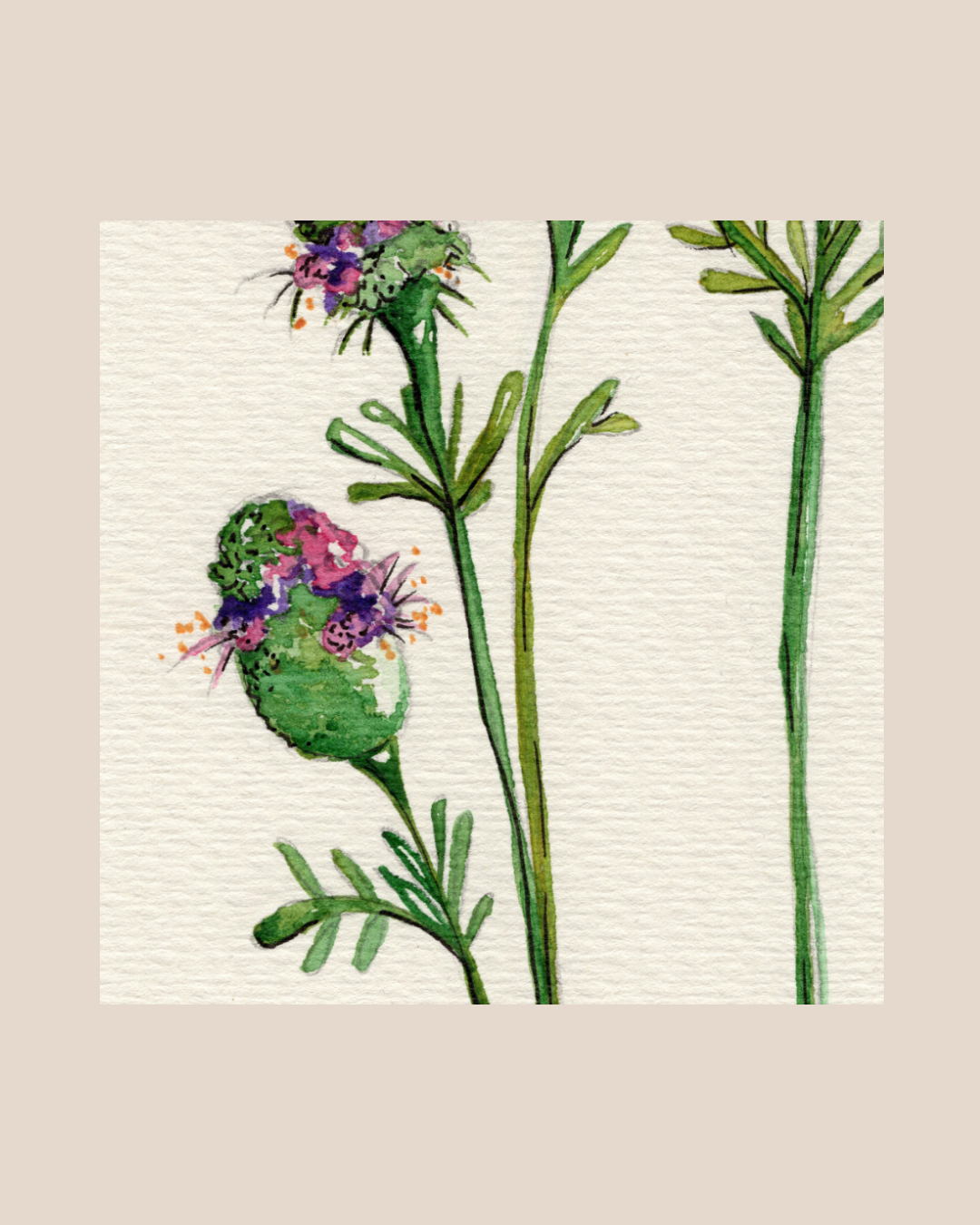 Watercolor Print Wildflower