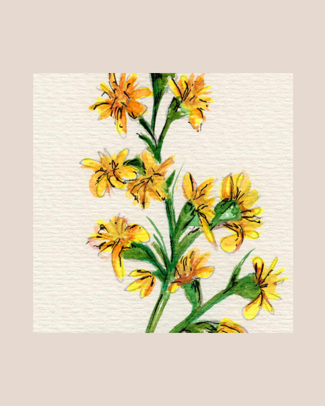 Watercolor Print Wildflower