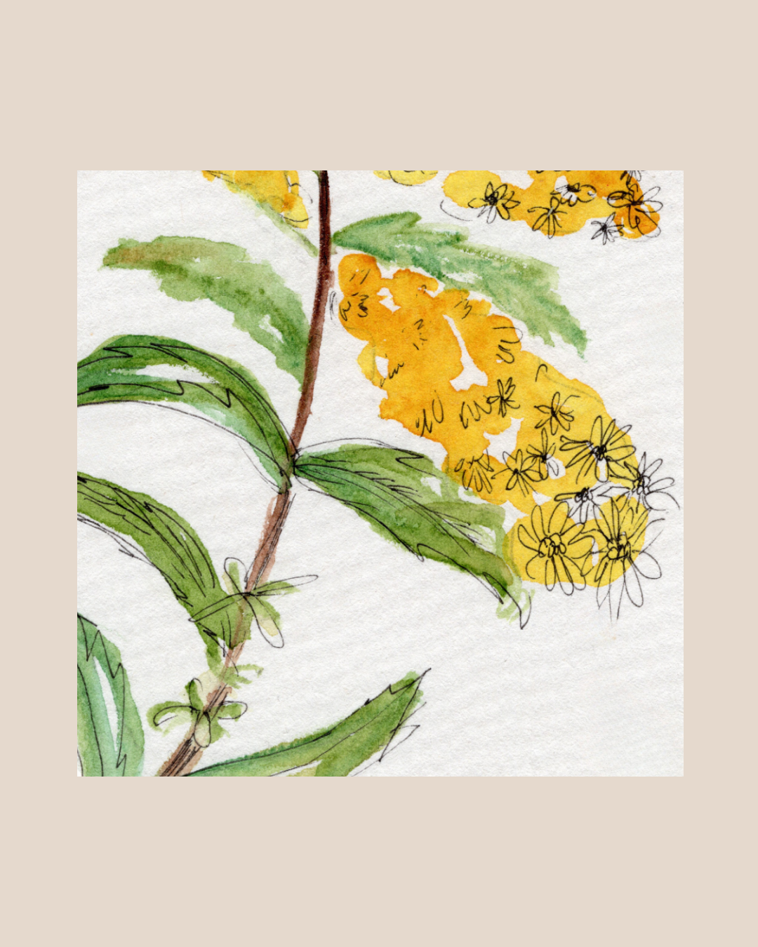 Watercolor Print Wildflower