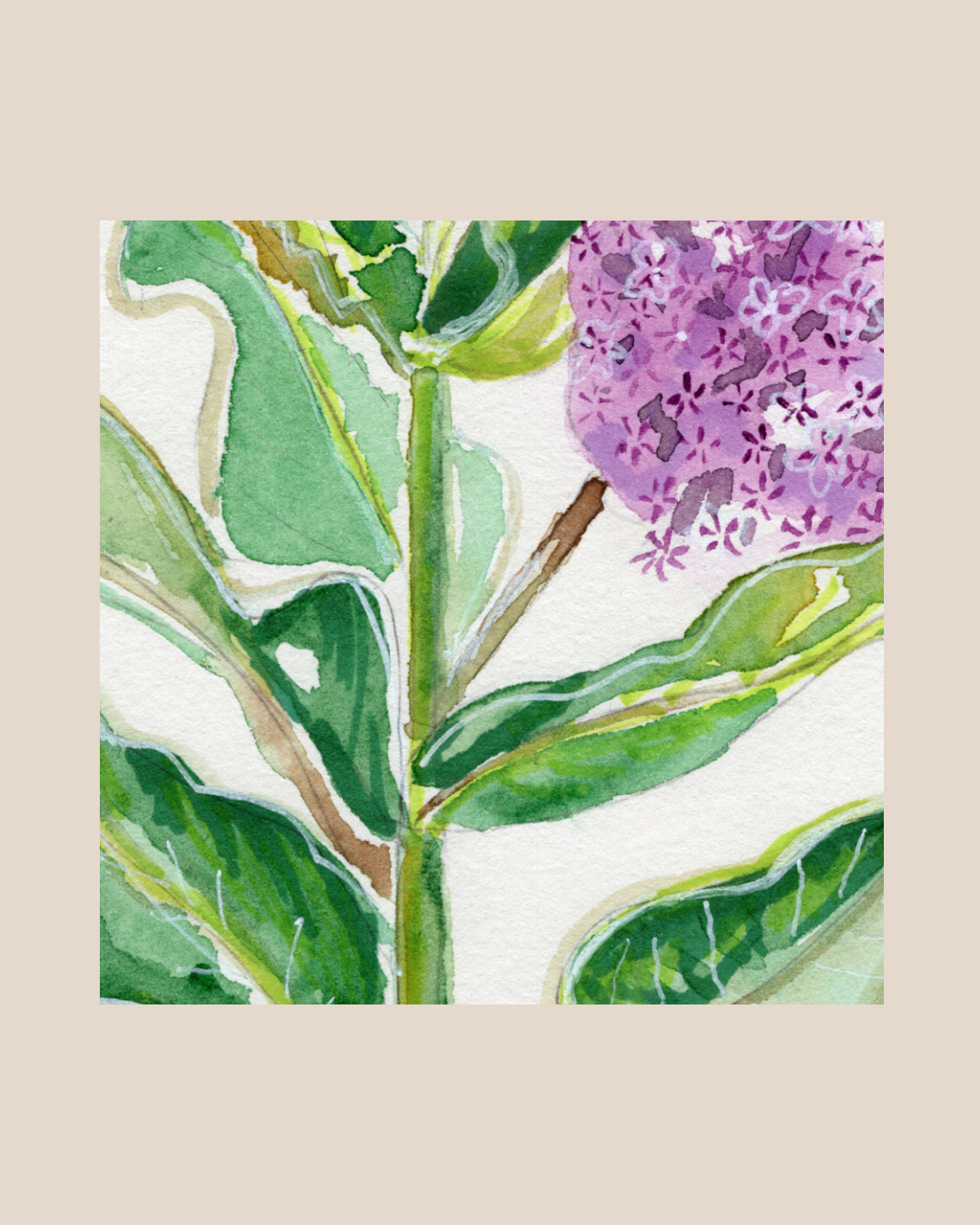 Watercolor Print Wildflower