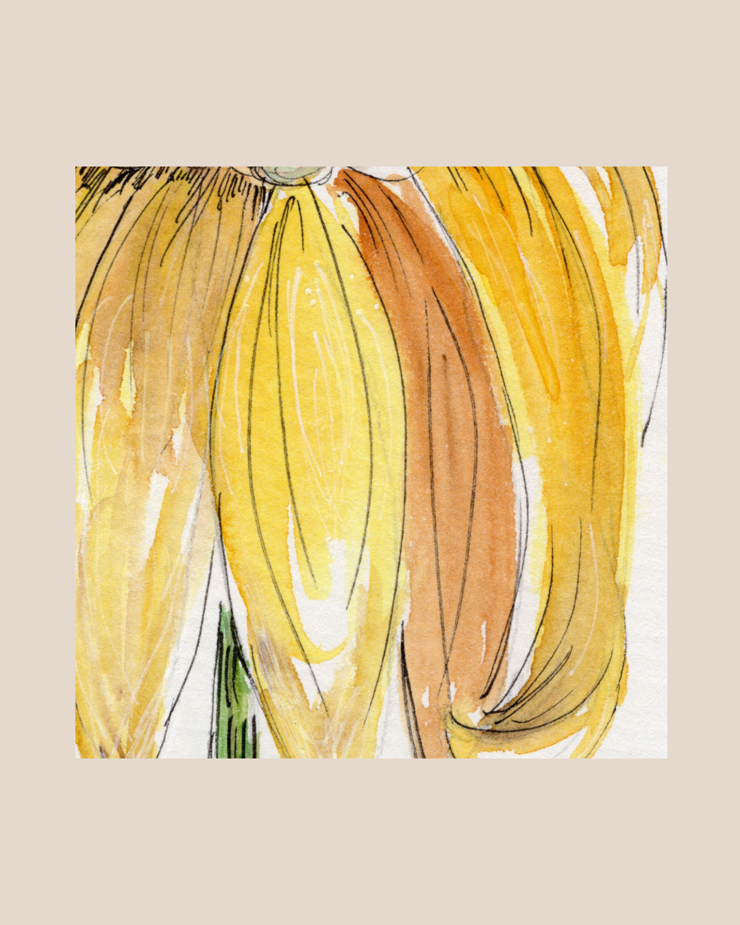 Watercolor Print Wildflower