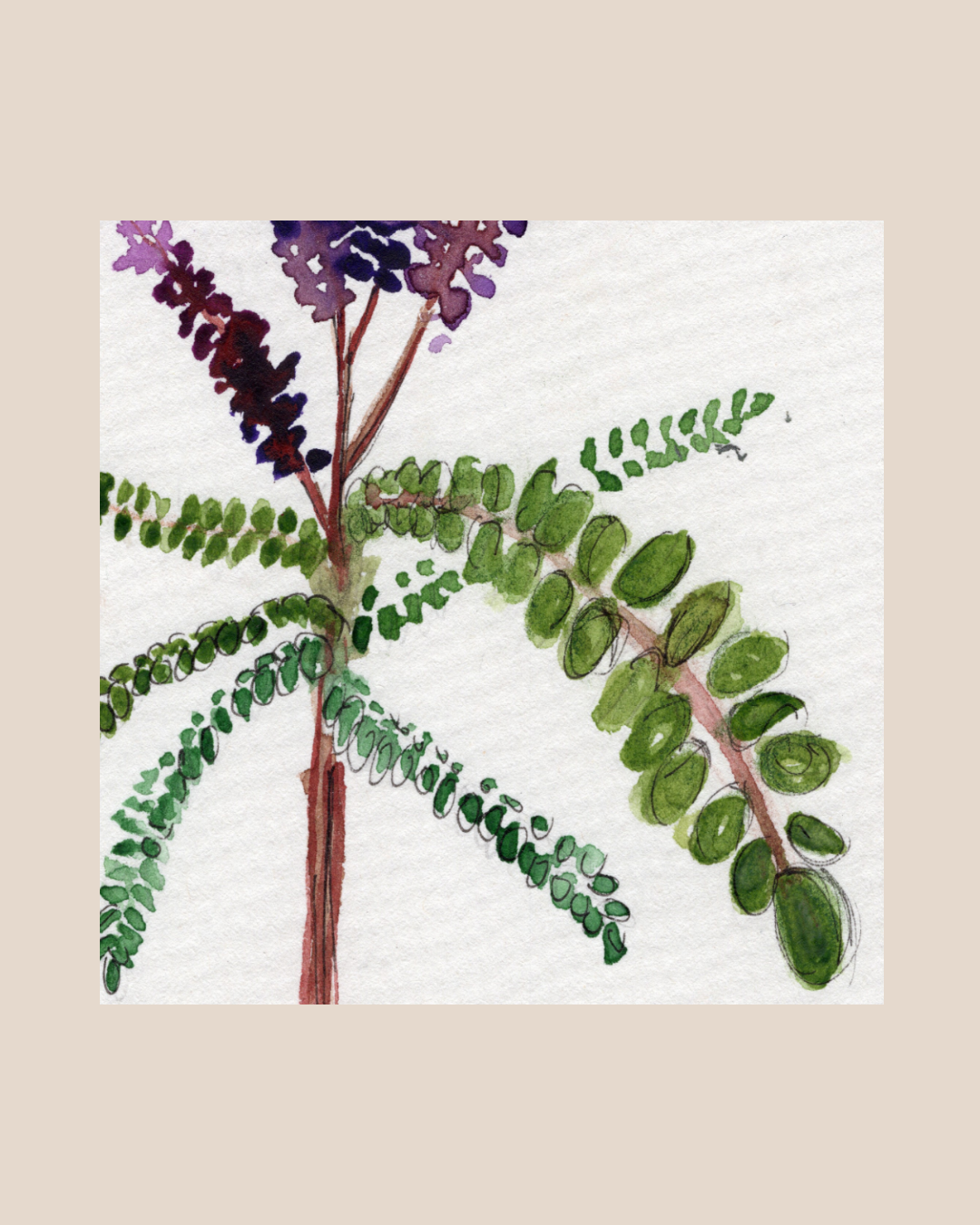 Watercolor Print Wildflower