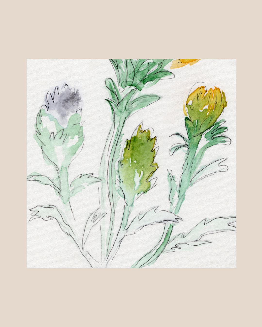 Watercolor Print Wildflower