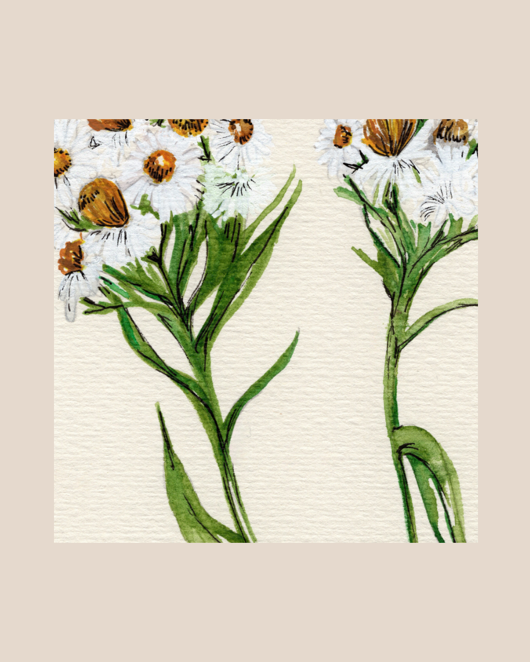 Watercolor Print Wildflower