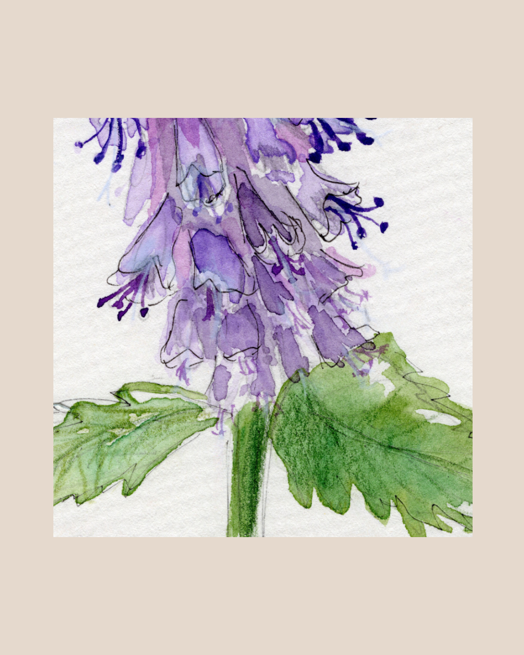Watercolor Print Wildflower