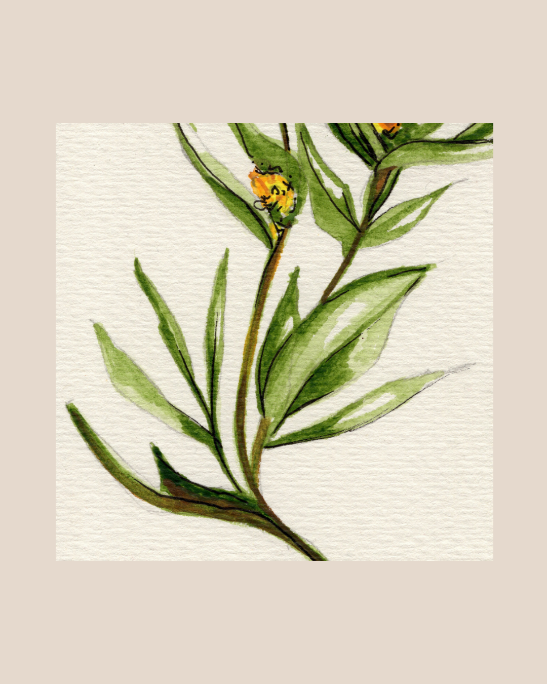 Watercolor Print Wildflower