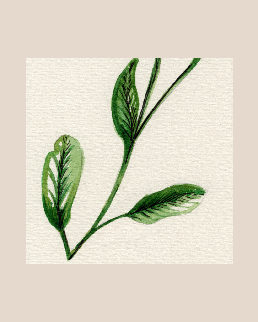 Watercolor Print Wildflower