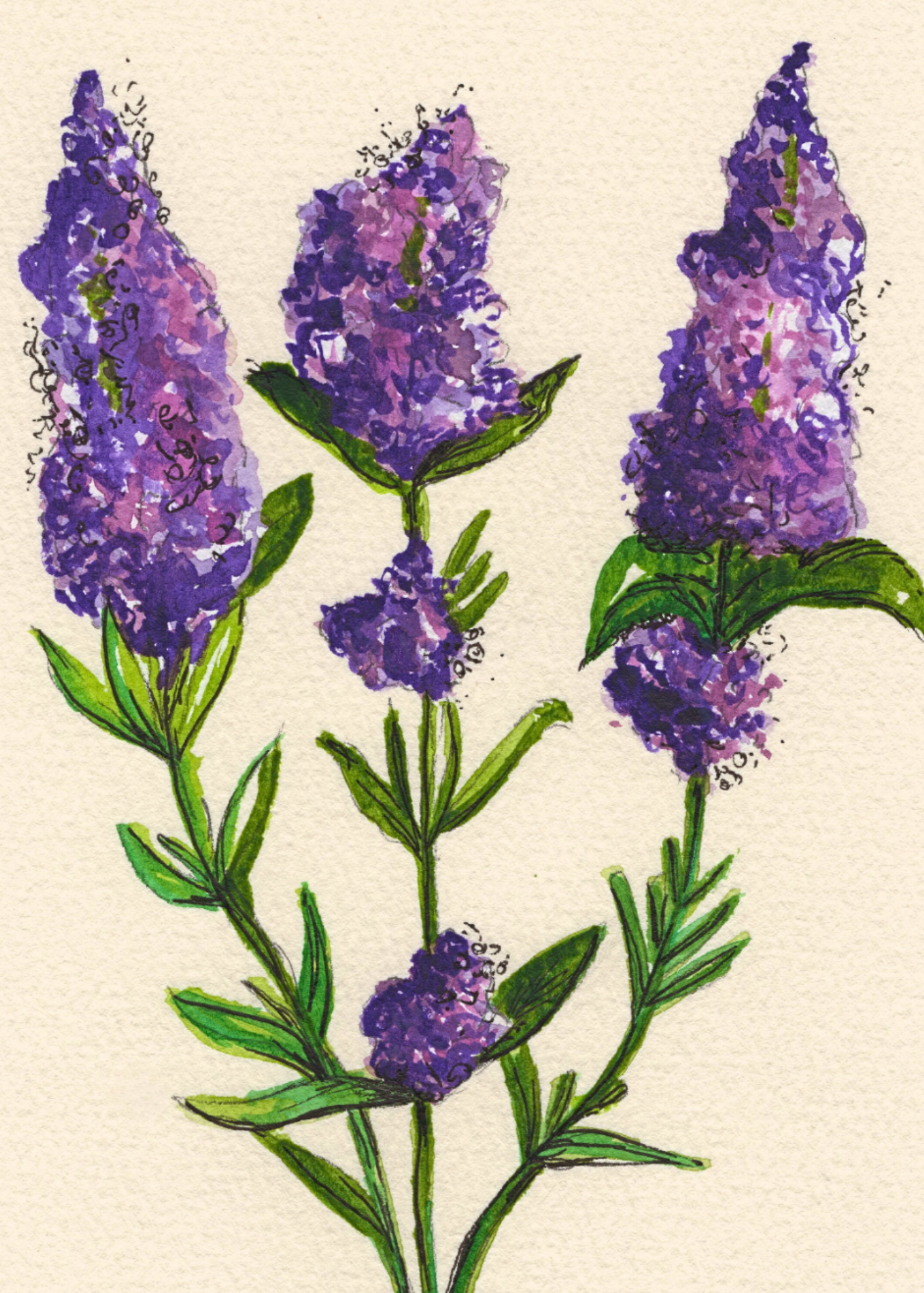 Watercolor Print Wildflower