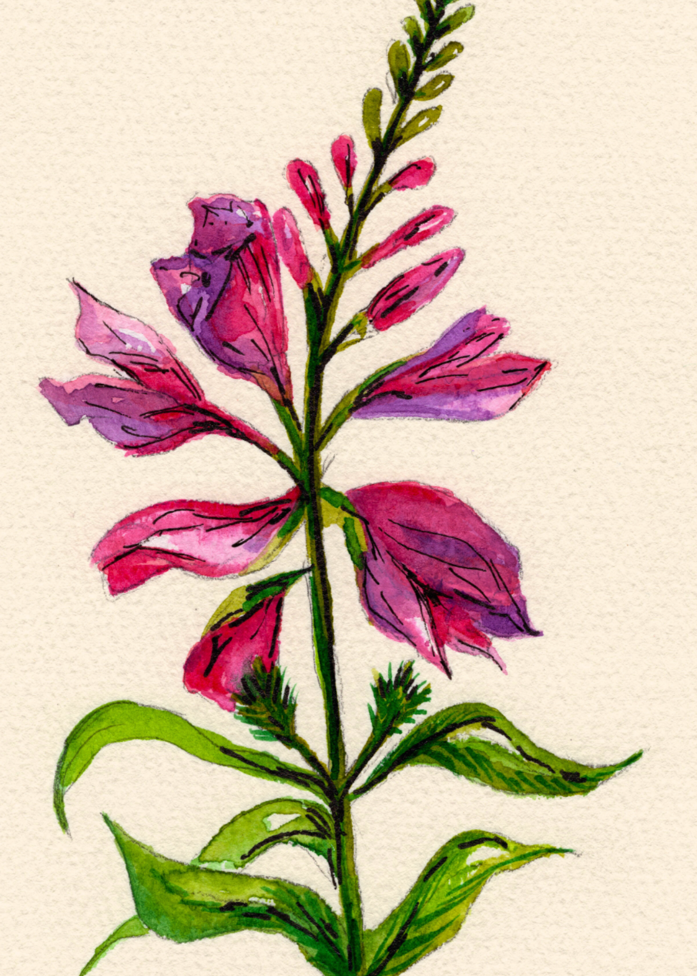 Watercolor Print Wildflower