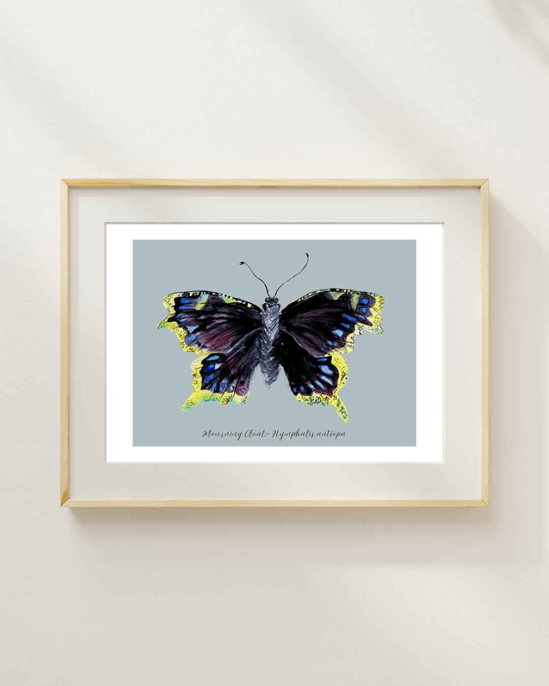 Mourning Cloak butterfly print