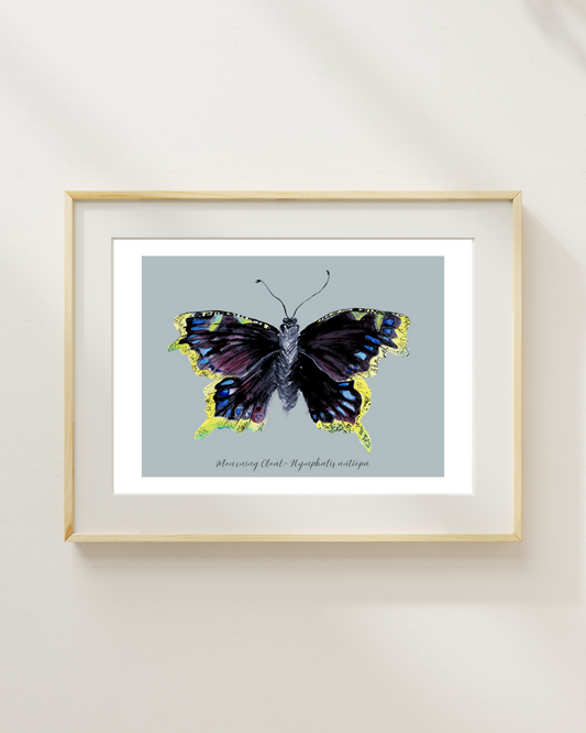 Mourning Cloak butterfly print