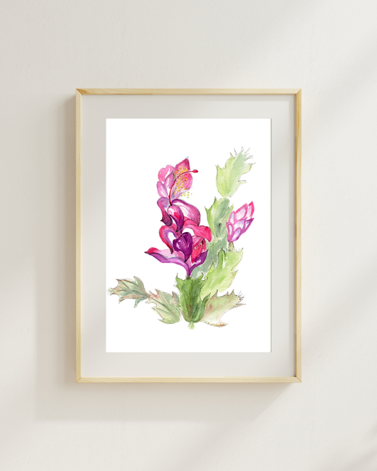 Christmas Cactus Print