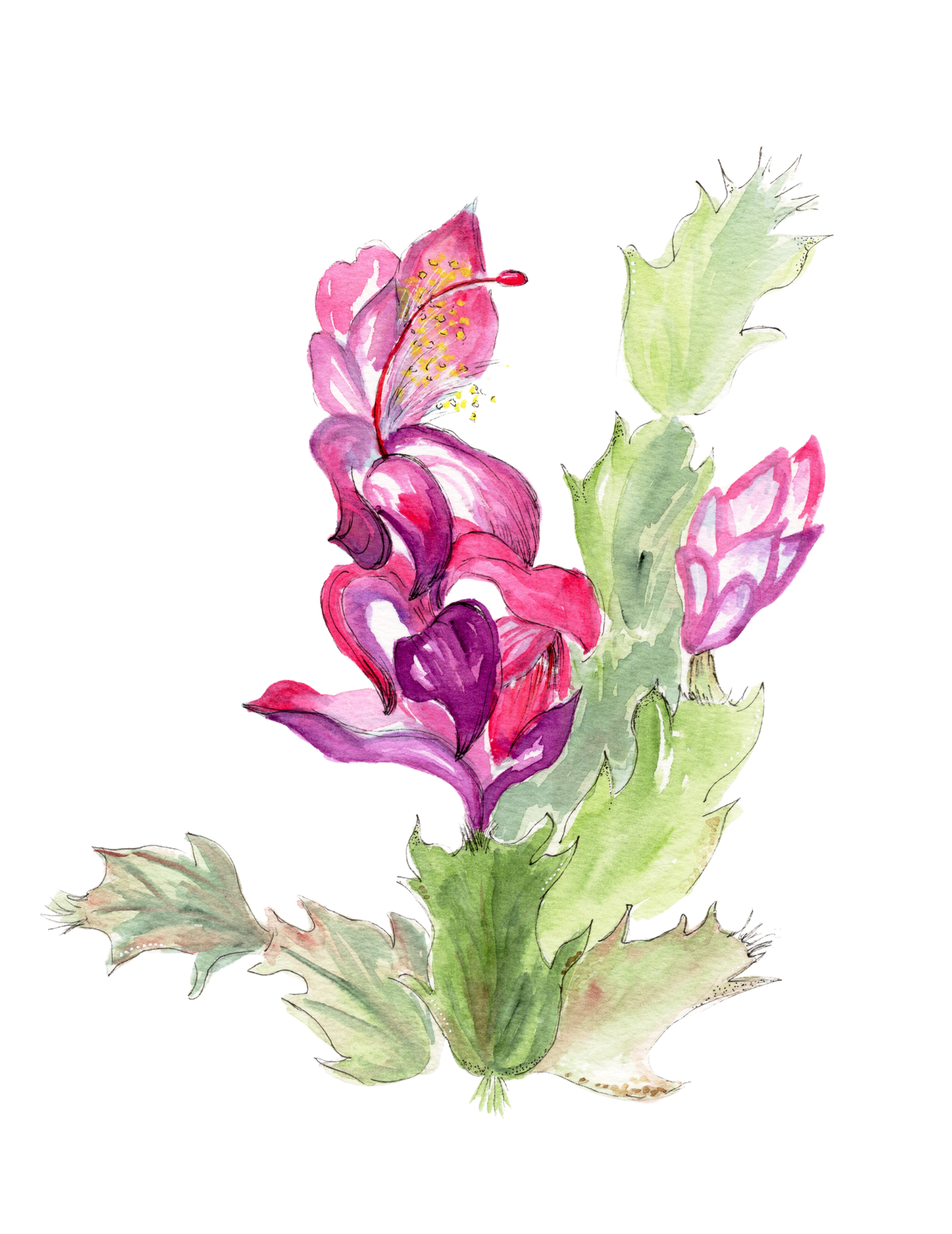 Christmas Cactus Print
