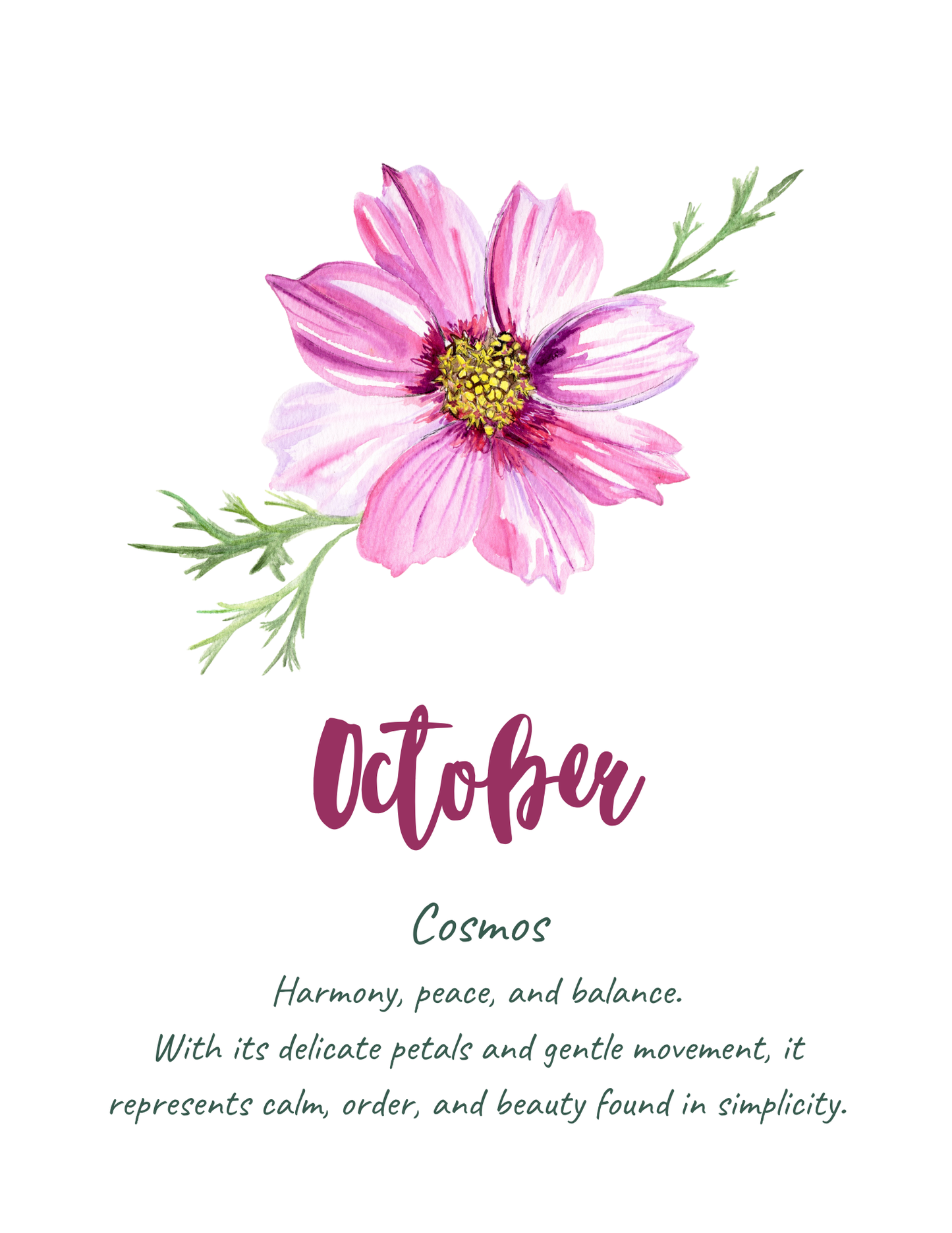 Flower meaning cards