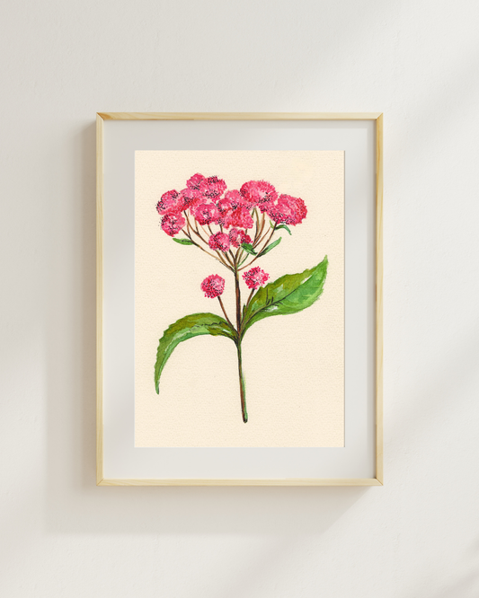 Watercolor Print Wildflower