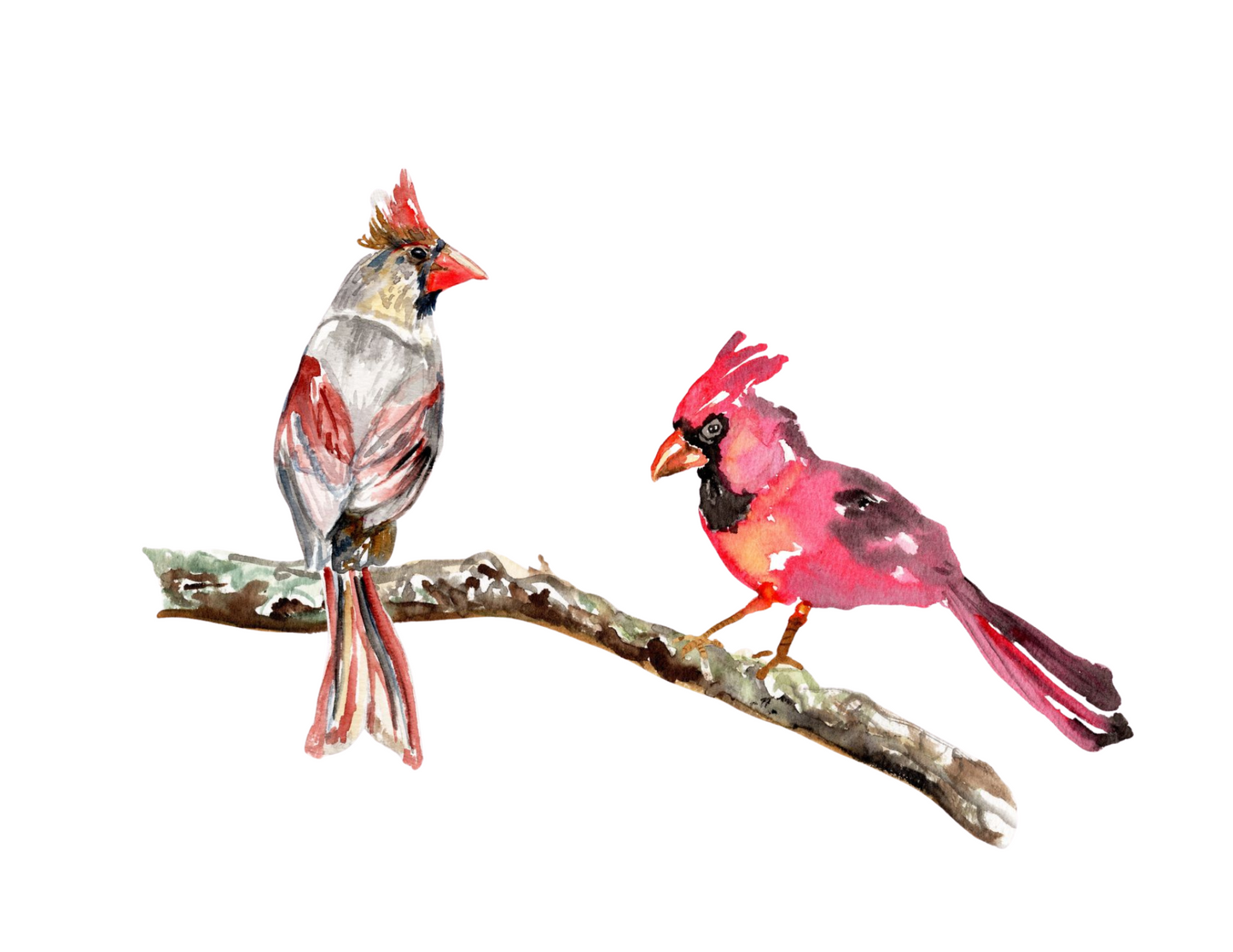 Cardinals Christmas Print