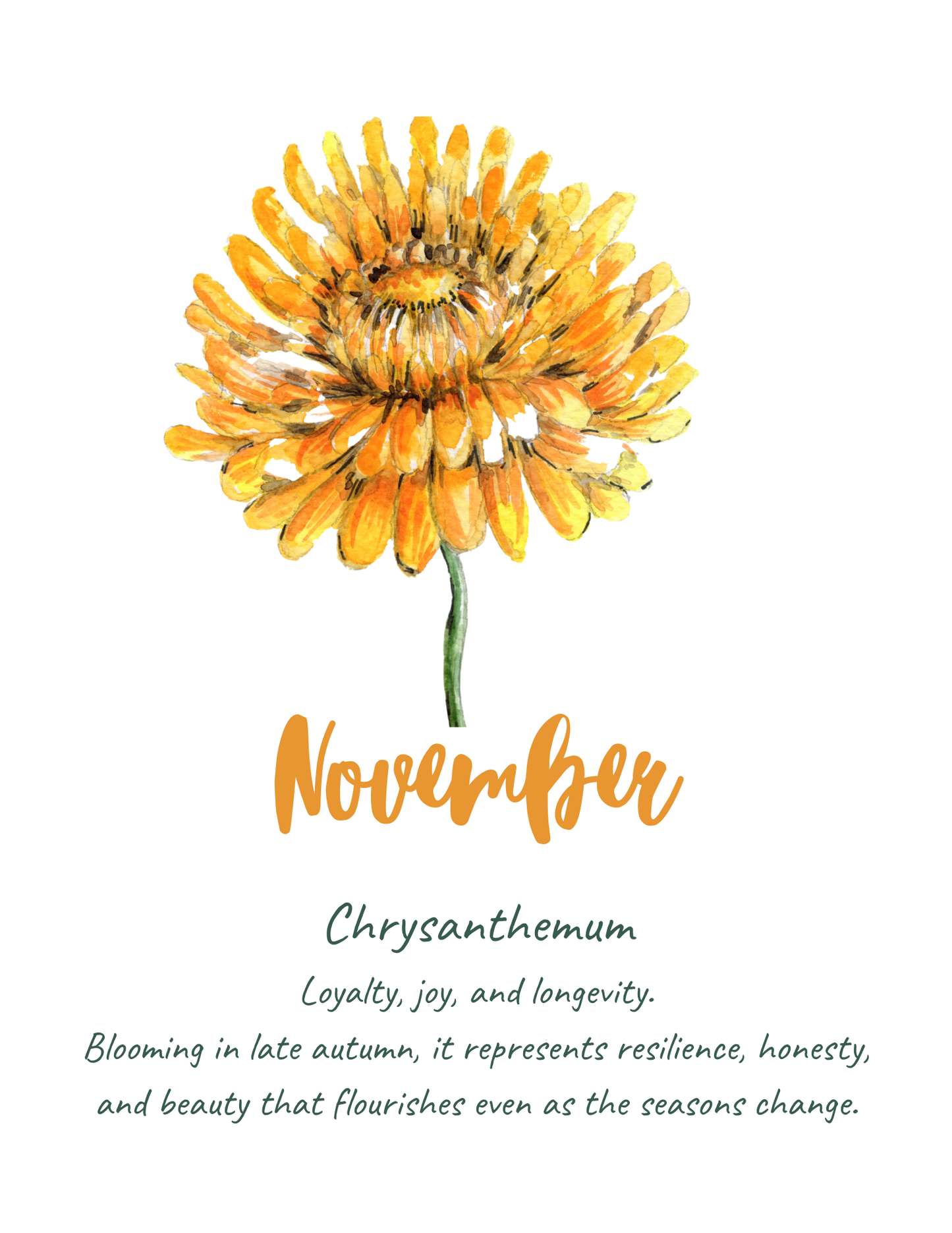 Flower meaning cards