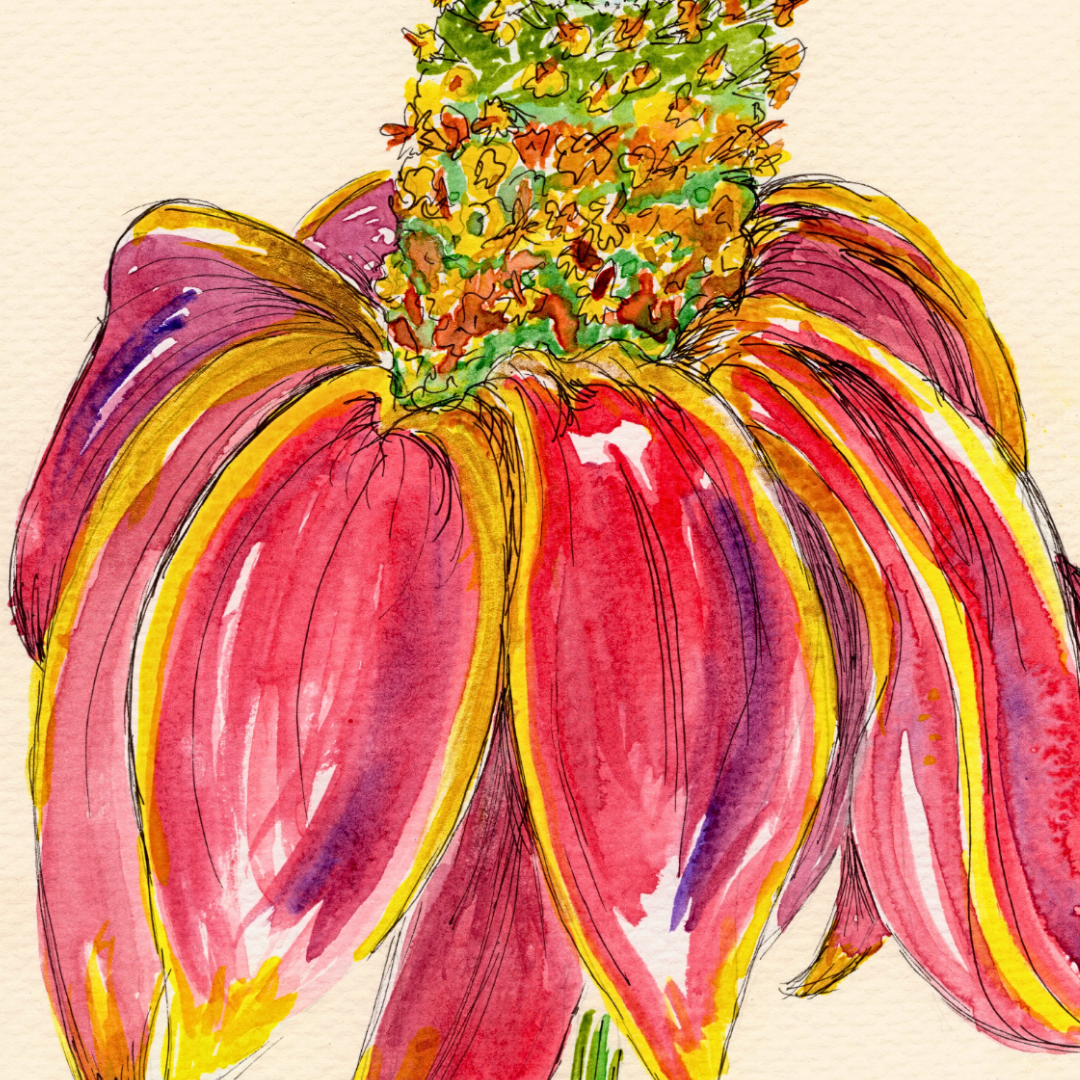 Watercolor Print Wildflower