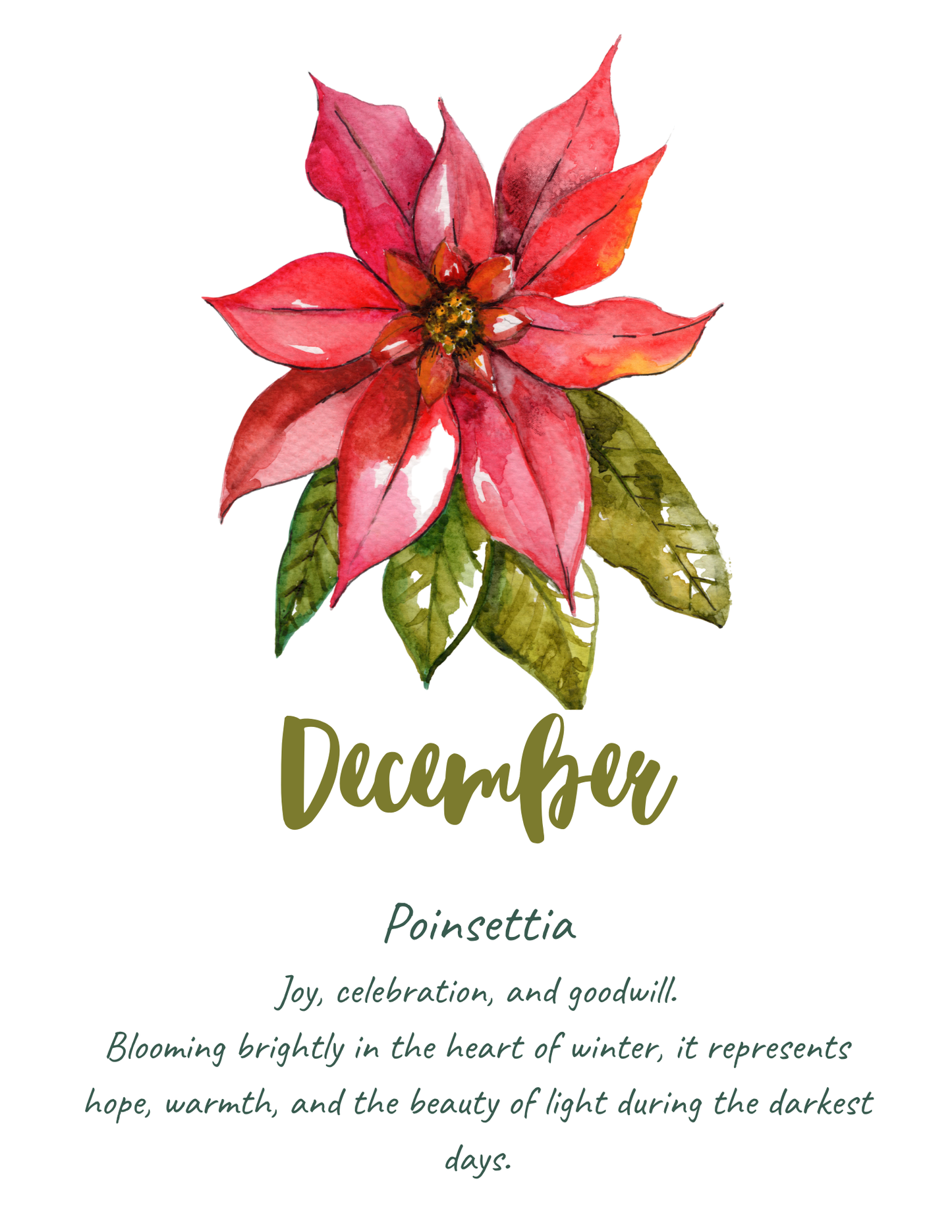 Flower meaning cards