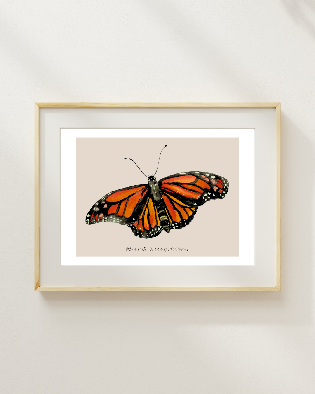 Monarch butterfly print