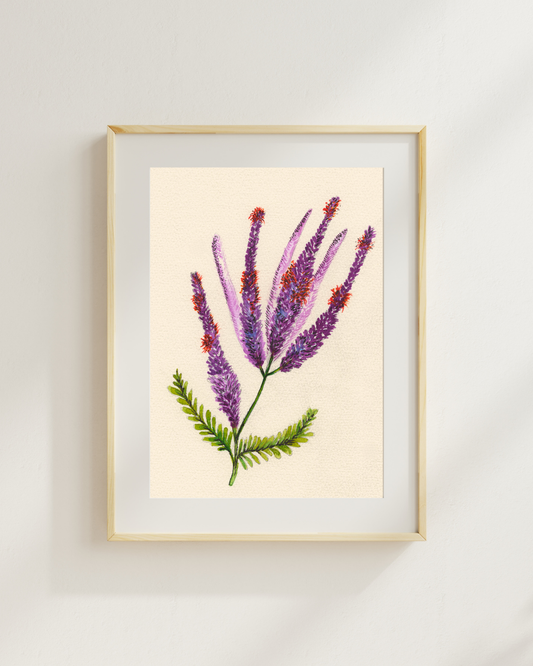 Watercolor Print Wildflower