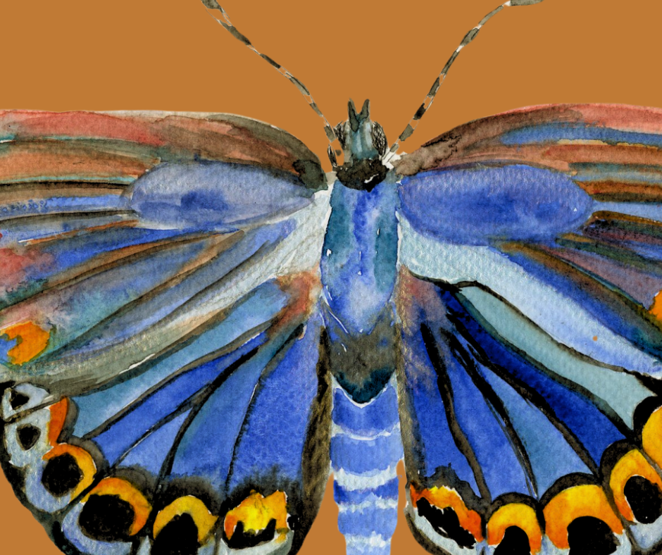 Karner Blue butterfly print