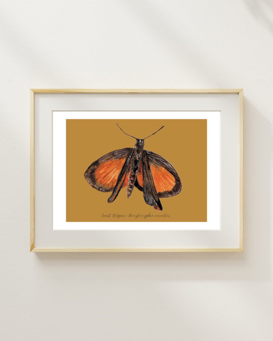 Least Skipper butterfly print
