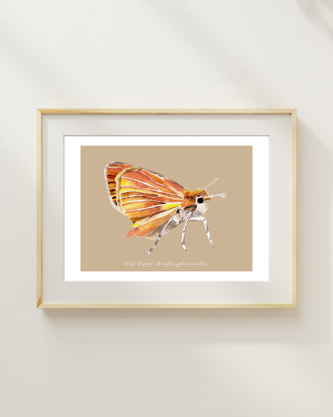 Least Skipper butterfly print
