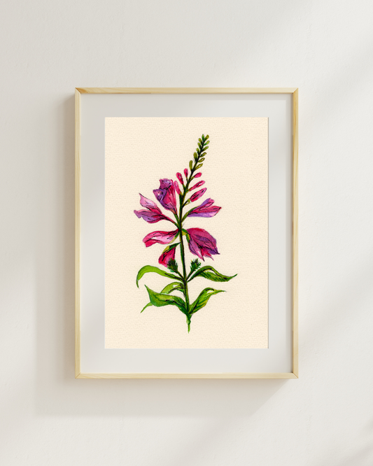 Watercolor Print Wildflower