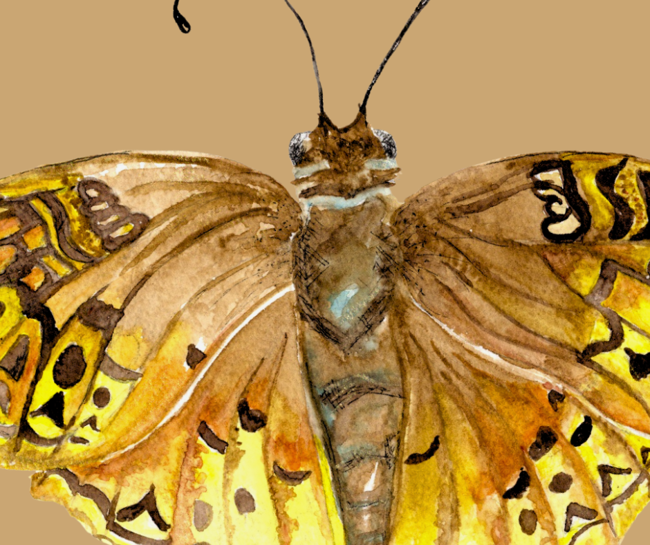 Great Spangled fritillary butterfly print