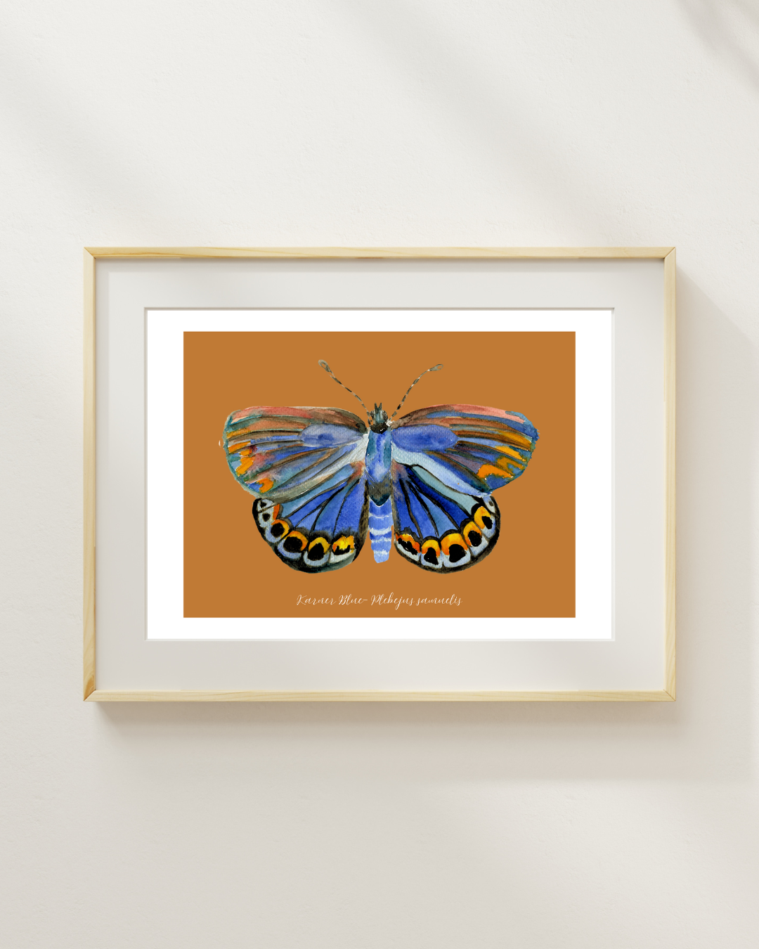 Karner Blue butterfly print