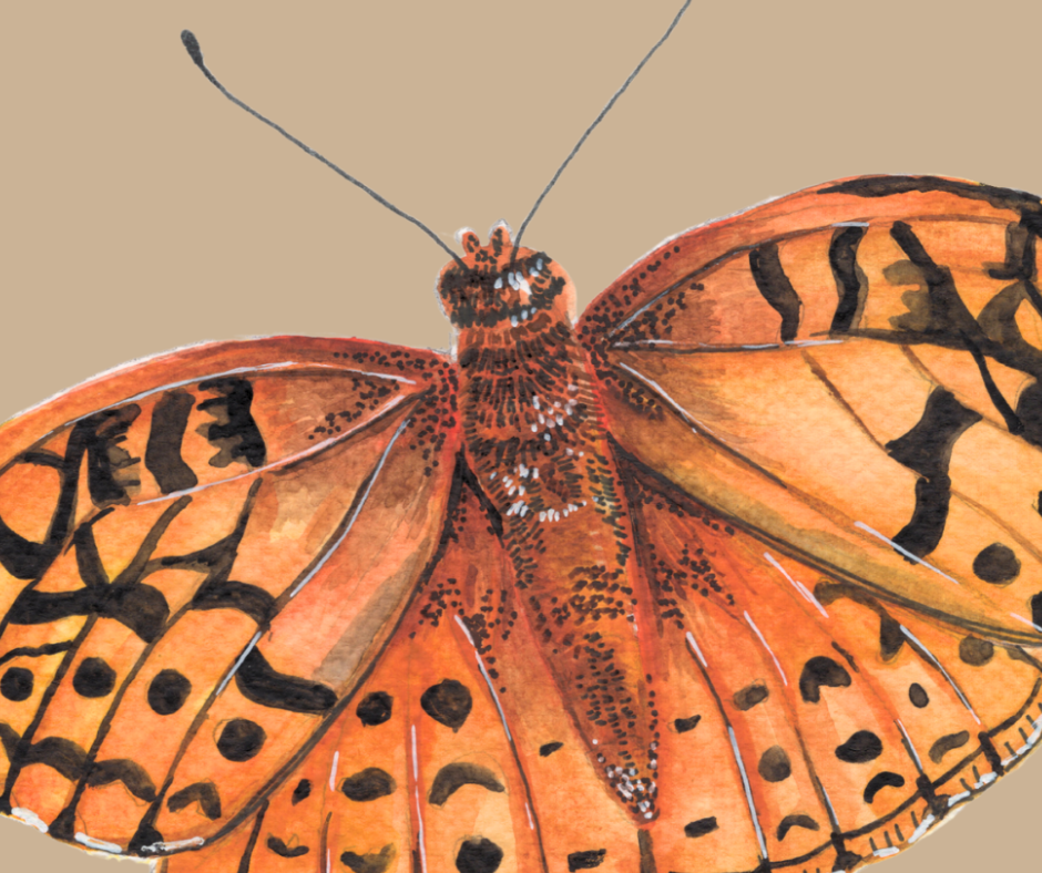 Great Spangled fritillary butterfly print
