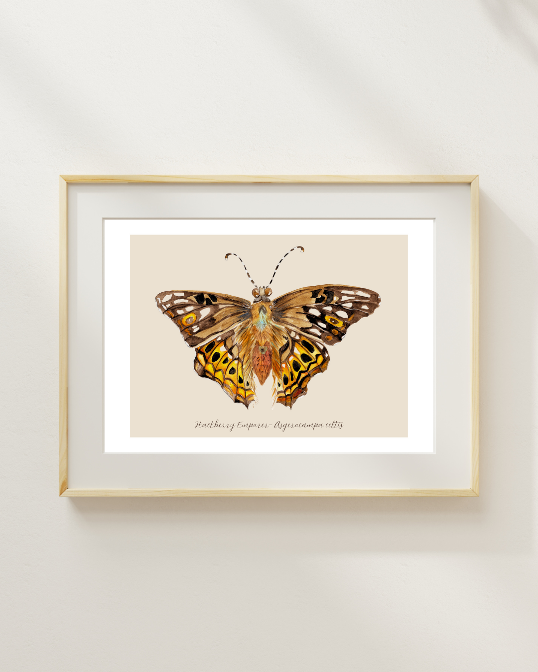 Hackberry Emperor butterfly print