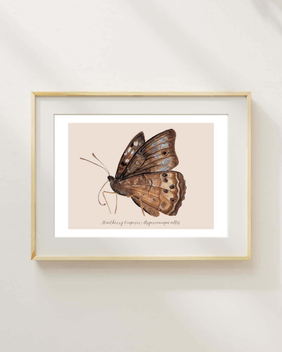 Hackberry Emperor butterfly print