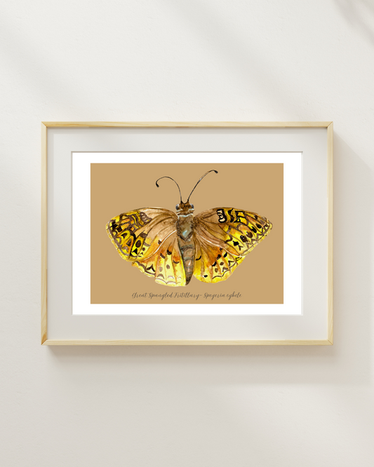 Great Spangled fritillary butterfly print