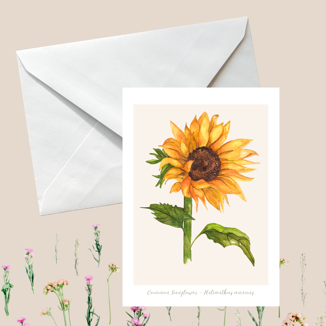 Sunflower Botanical Greeting Card