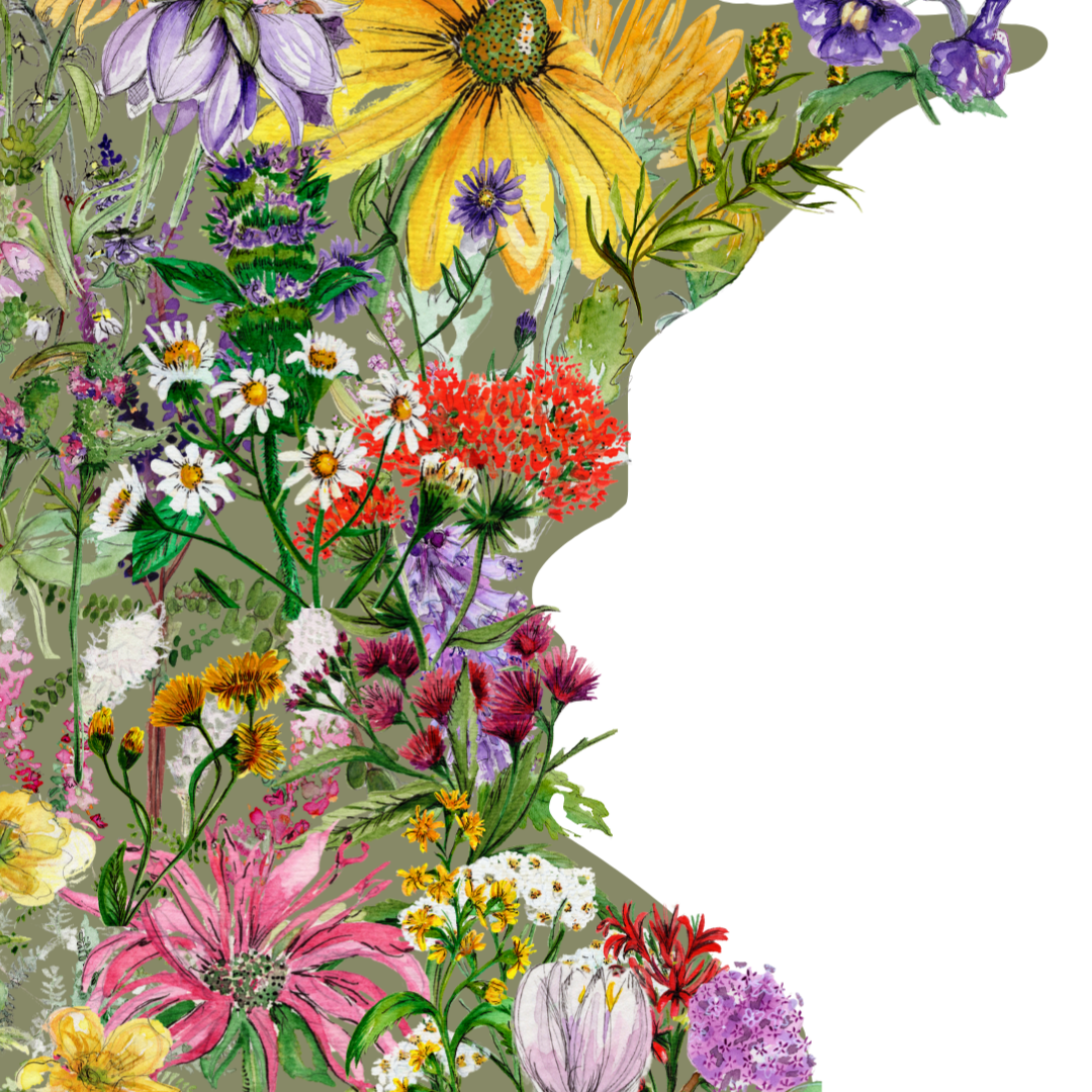 Minnesota in Bloom botanical print - Green