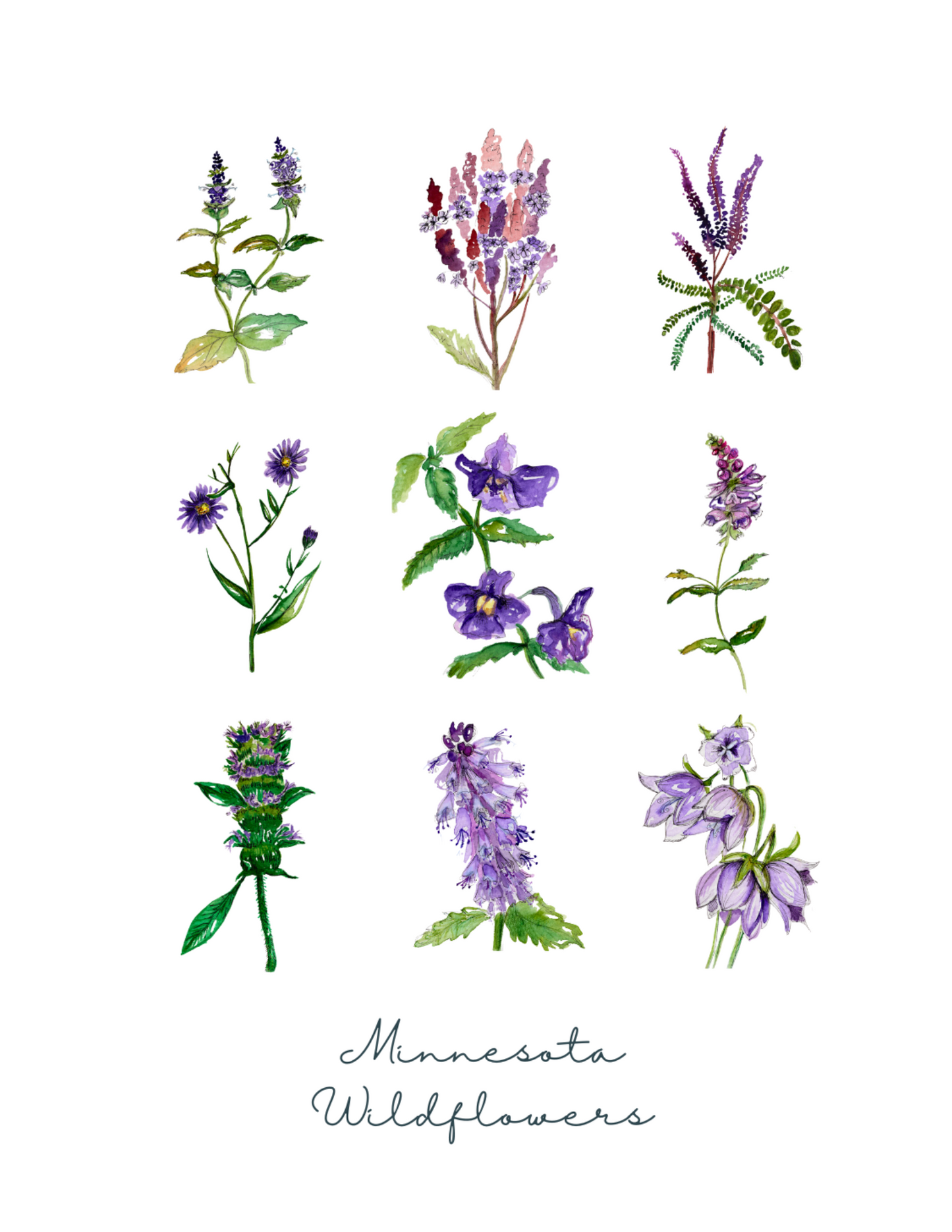 Wildflower Collection Greeting Card